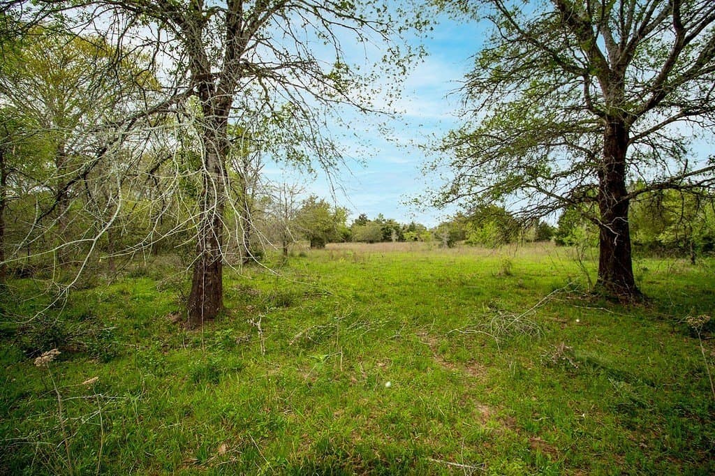40.8 acres in Fayette County - photo 21