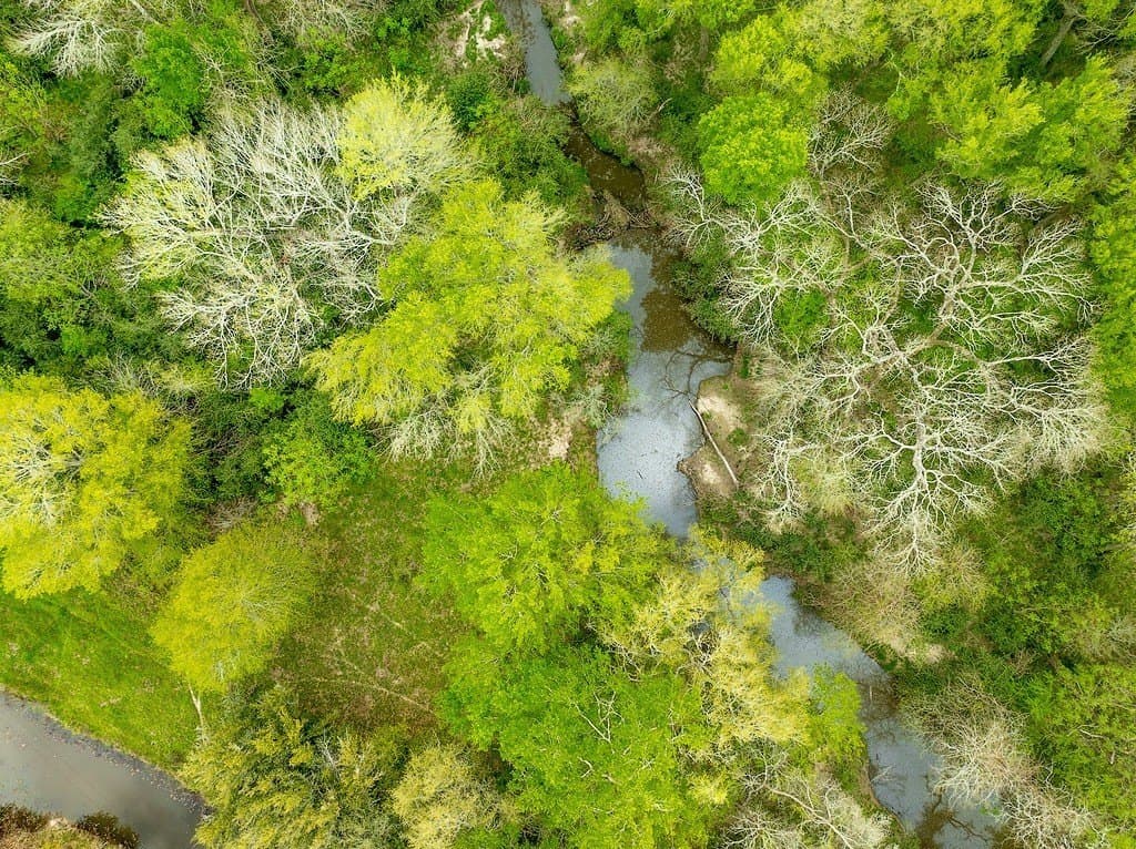 40.8 acres in Fayette County - photo 10