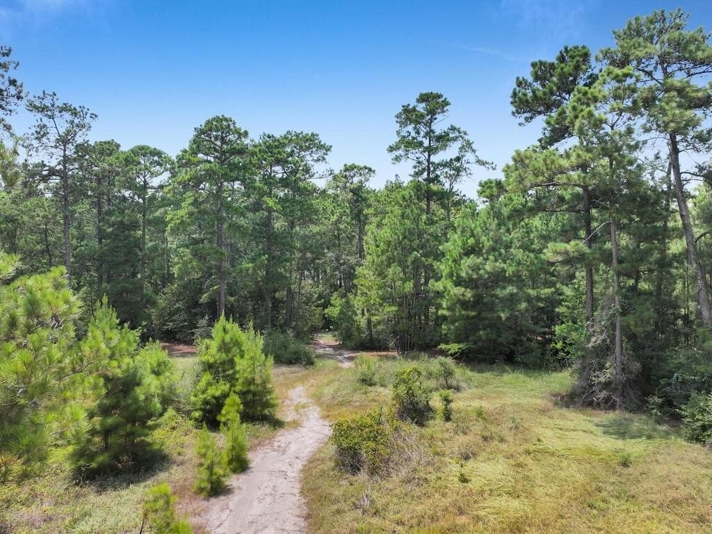4.96 acres in Texas County - photo 13