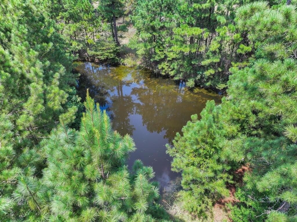 4.96 acres in Texas County - photo 15
