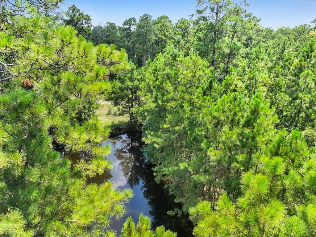4.96 acres in Texas County - photo 14