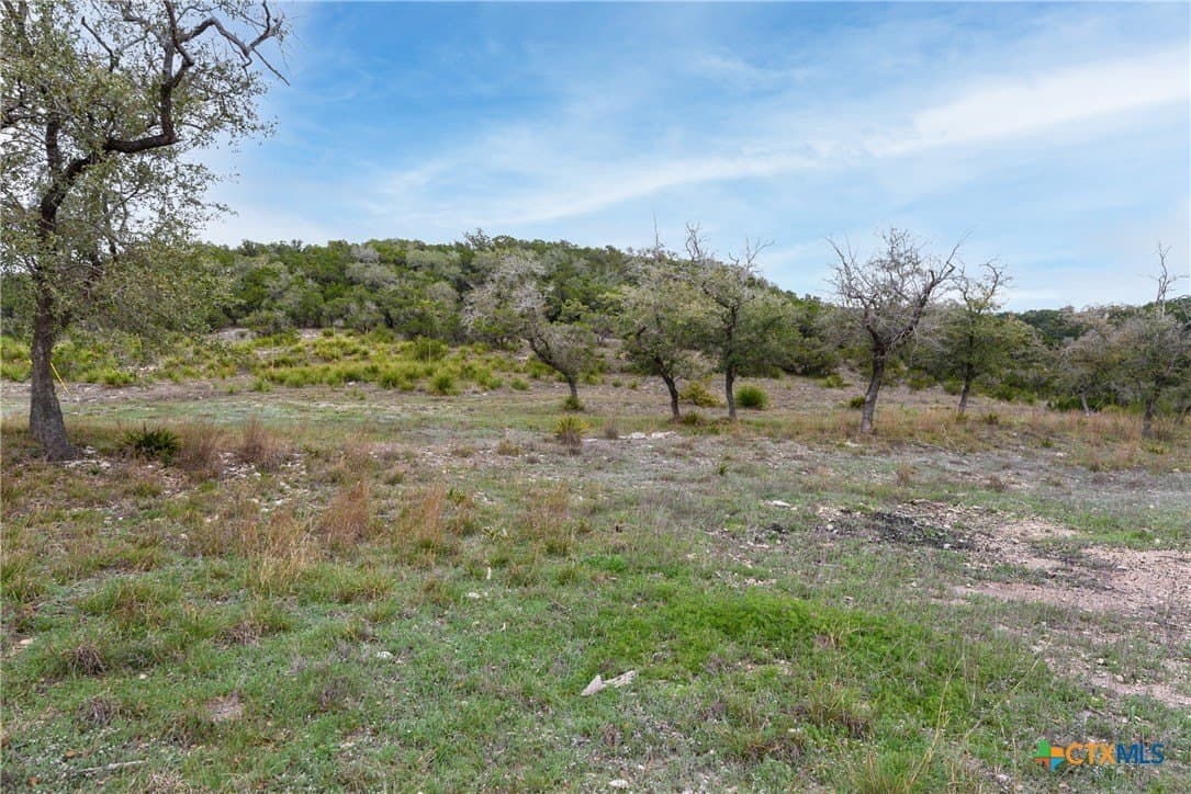 14.01 acres in Comal County - photo 27