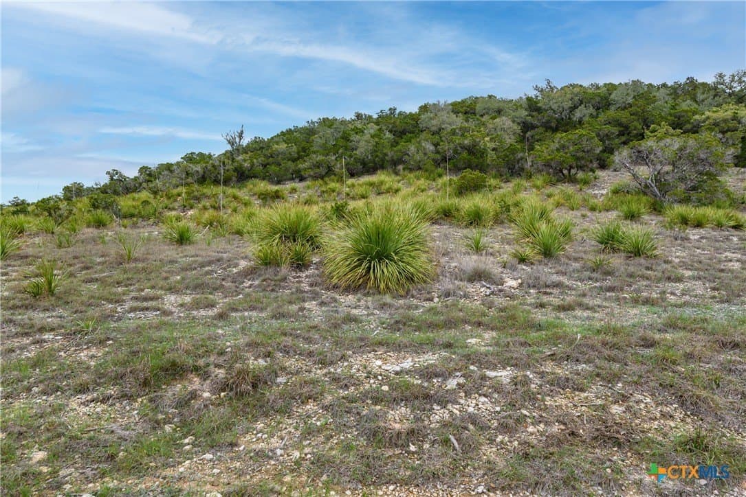 14.01 acres in Comal County - photo 29