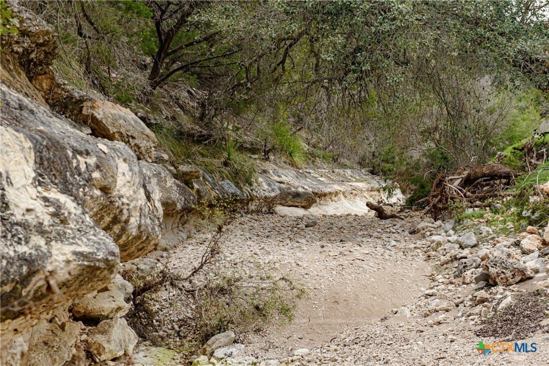 14.01 acres in Comal County - photo 17