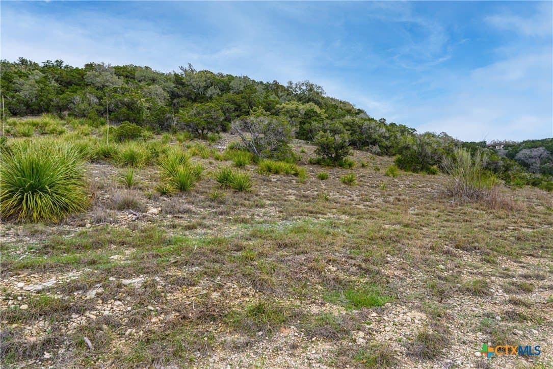 14.01 acres in Comal County - photo 30