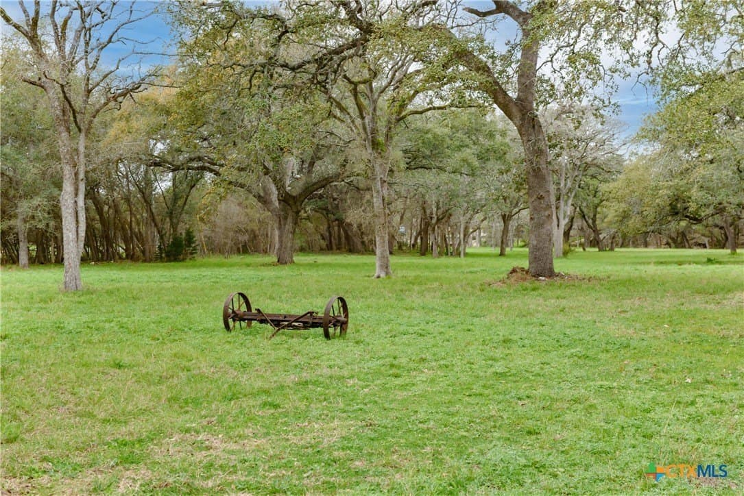 14.01 acres in Comal County - photo 24