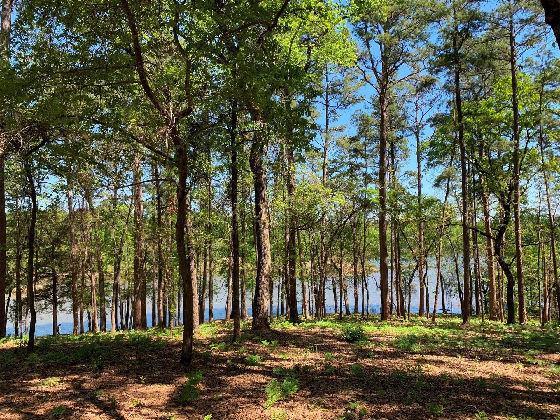 22.38 acres in Henderson County - photo 21