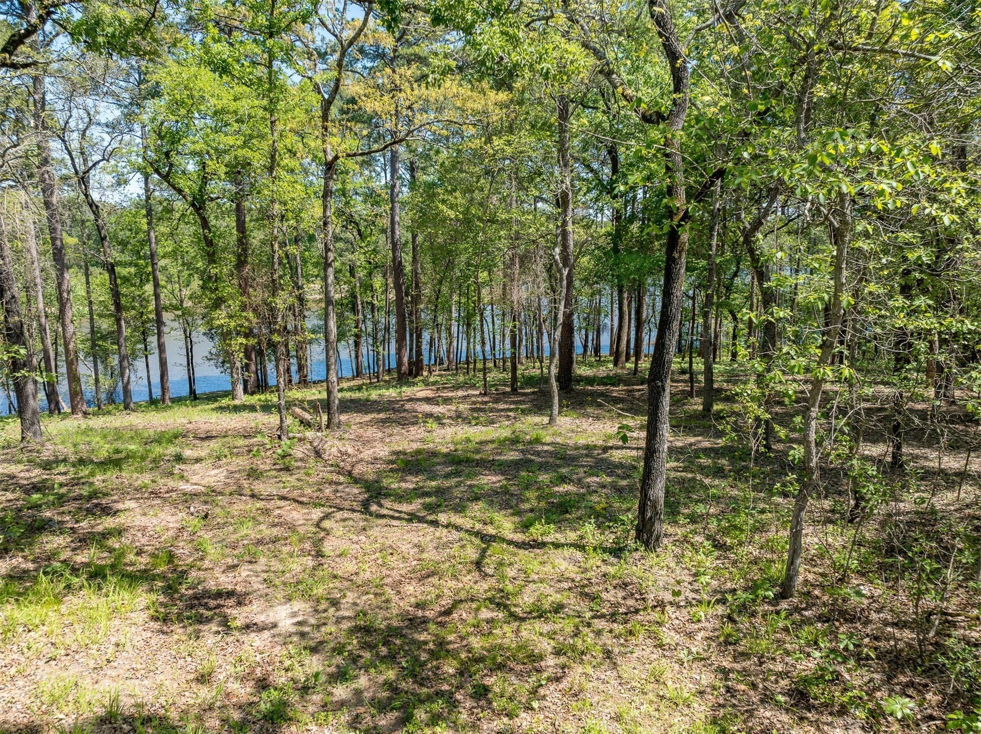 22.38 acres in Henderson County - photo 22