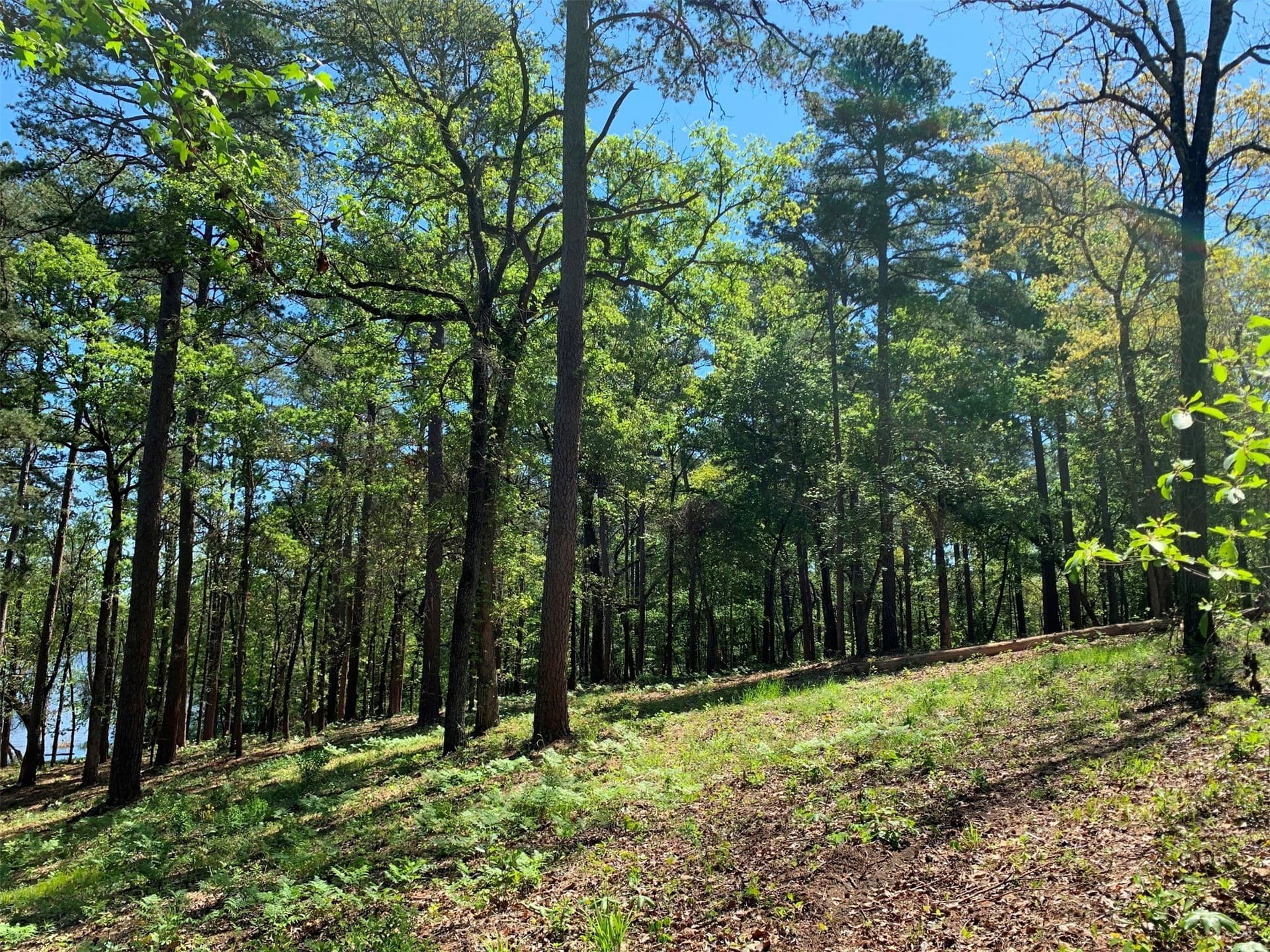22.38 acres in Henderson County - photo 24