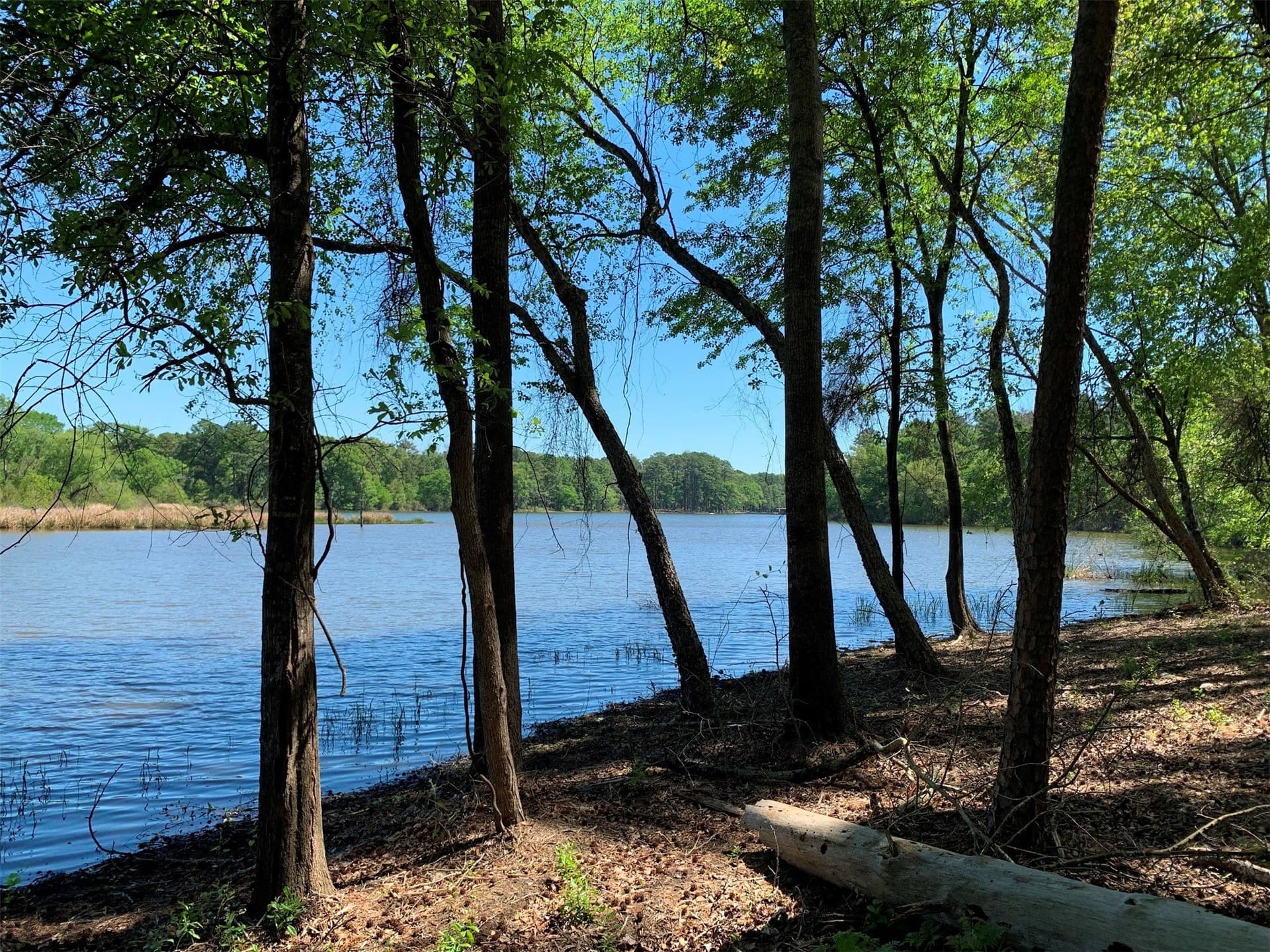 22.38 acres in Henderson County - photo 16