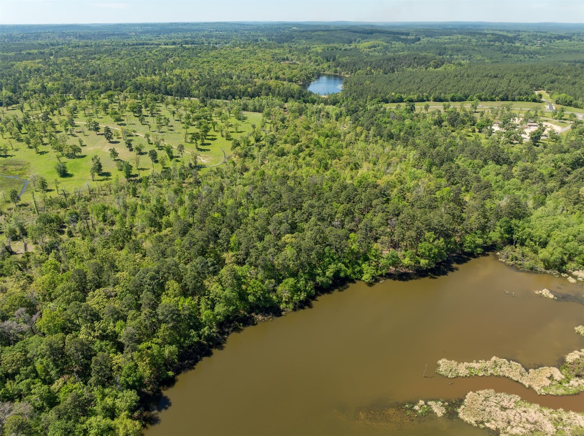 22.38 acres in Henderson County - photo 9