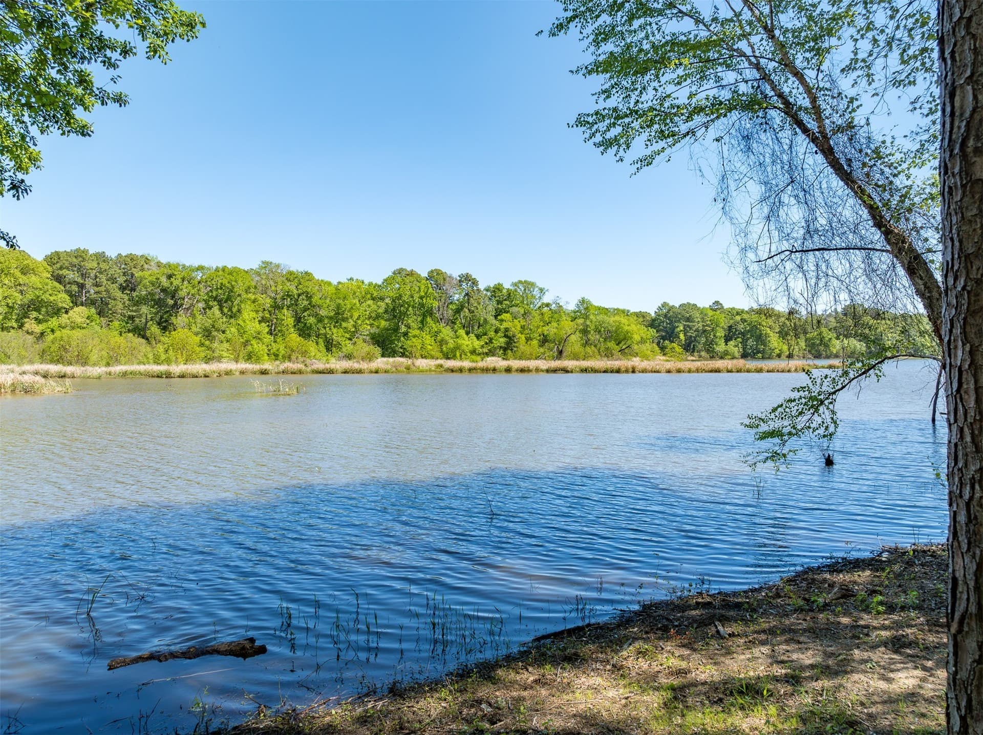 22.38 acres in Henderson County - photo 13