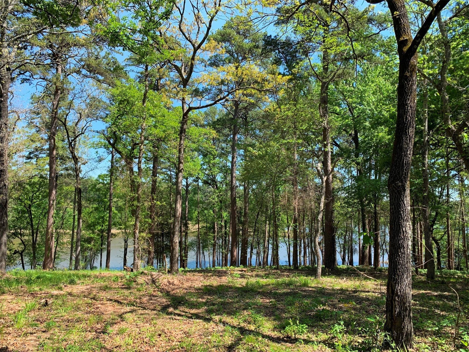 22.38 acres in Henderson County - photo 20