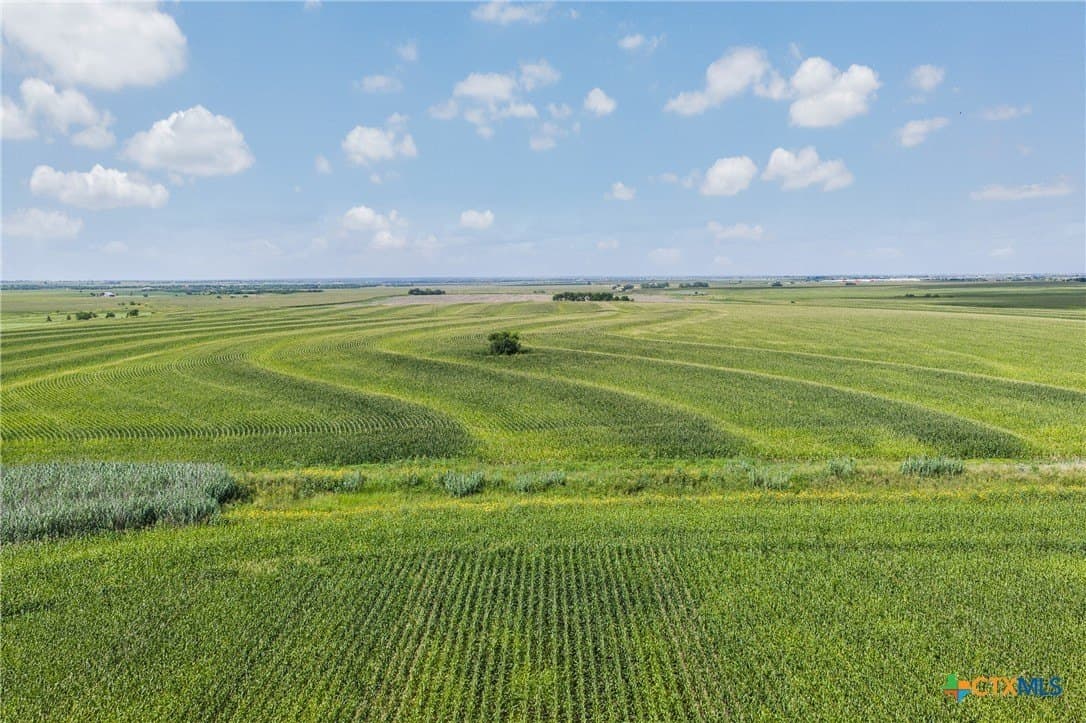 151 acres in Travis County - photo 14