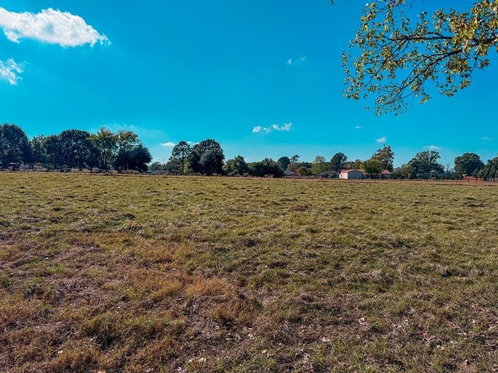 4.97 acres in ANDERSON County - photo 6