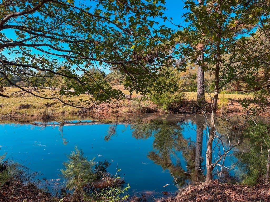 4.97 acres in ANDERSON County - photo 17
