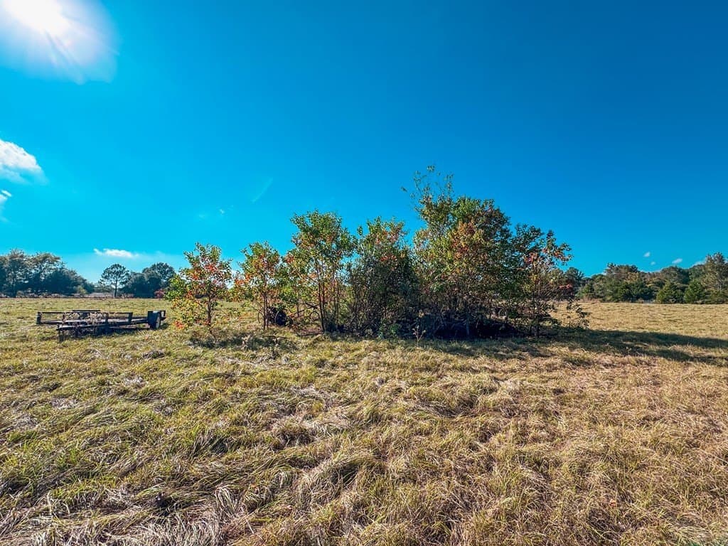4.97 acres in ANDERSON County - photo 5