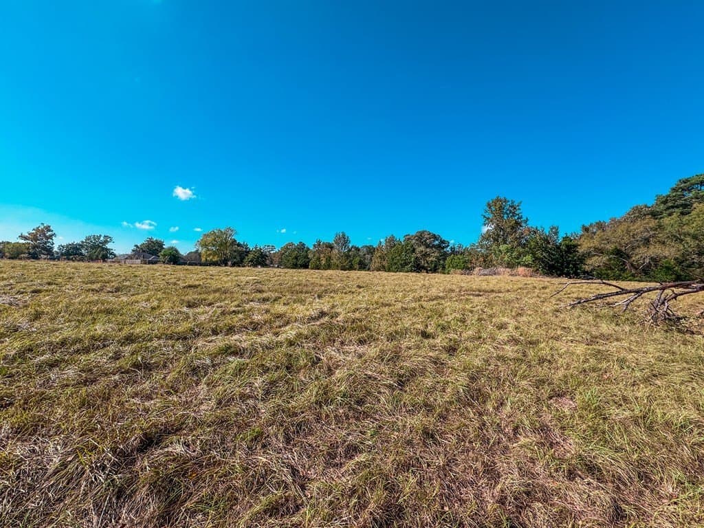4.97 acres in ANDERSON County - photo 8