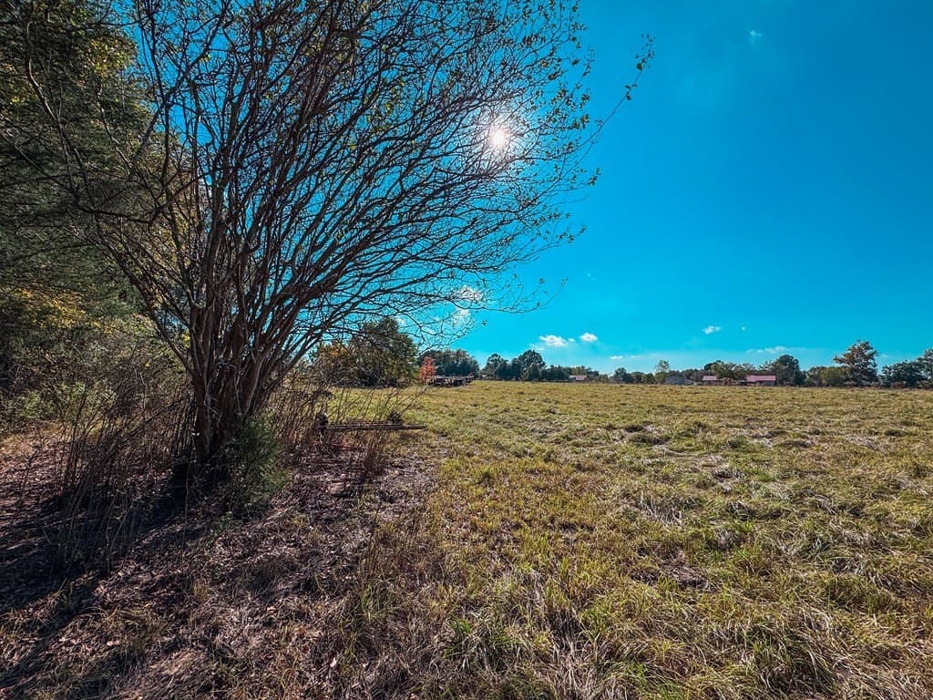 4.97 acres in ANDERSON County - photo 13