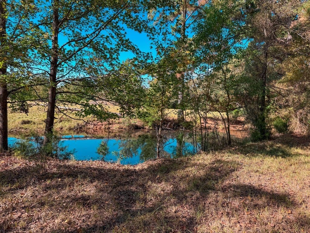 4.97 acres in ANDERSON County - photo 18