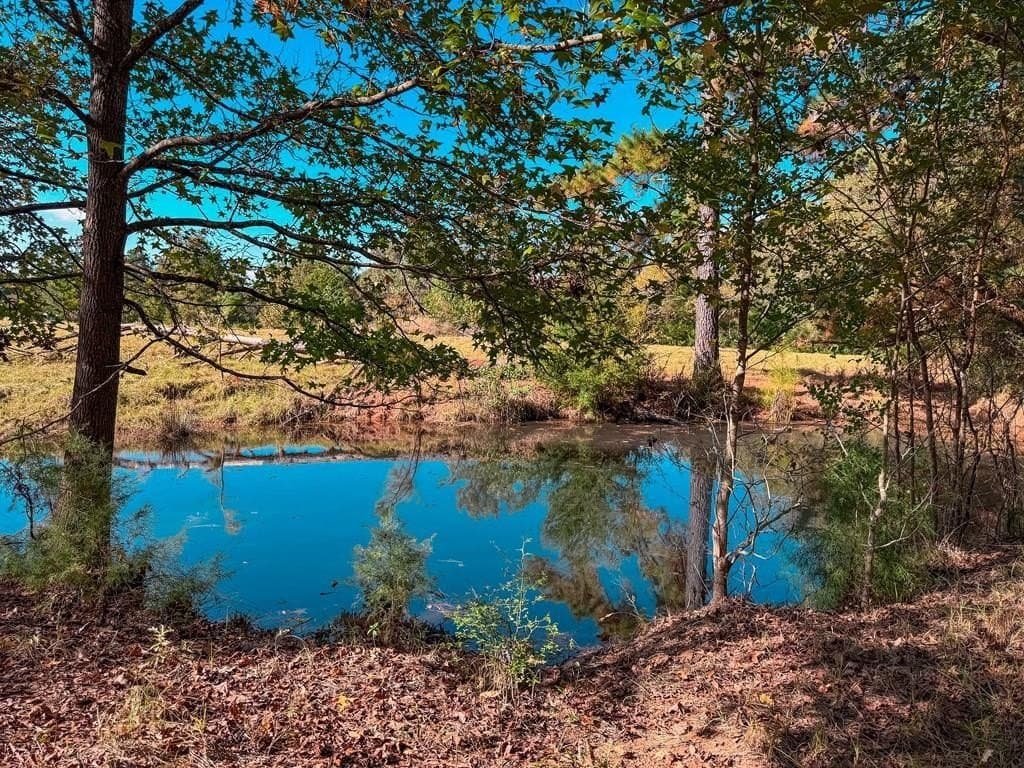 4.97 acres in ANDERSON County - photo 2