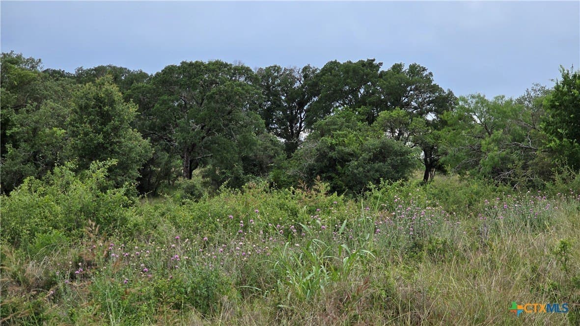 24 acres in Burnet County - photo 7