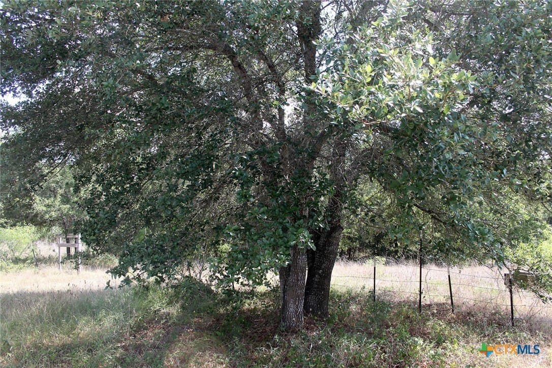 32.71 acres in Caldwell County - photo 10