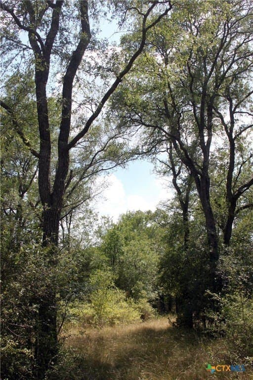32.71 acres in Caldwell County - photo 18