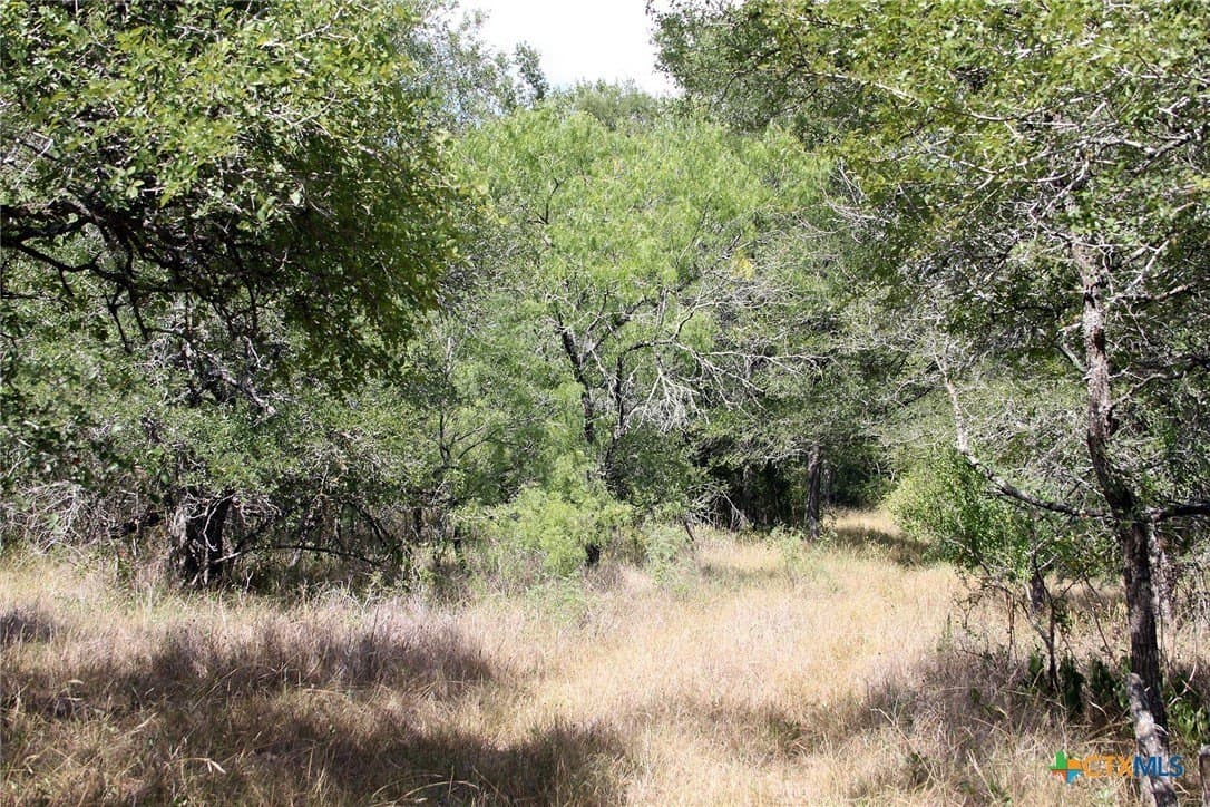 32.71 acres in Caldwell County - photo 23
