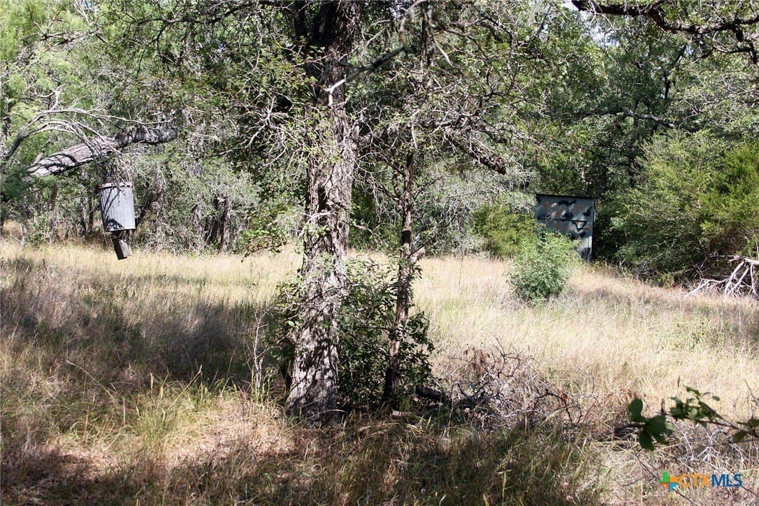 32.71 acres in Caldwell County - photo 15