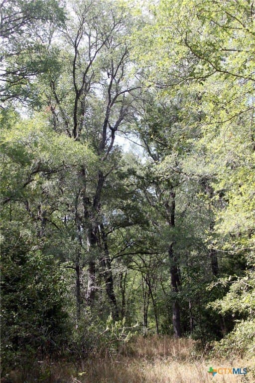 32.71 acres in Caldwell County - photo 22