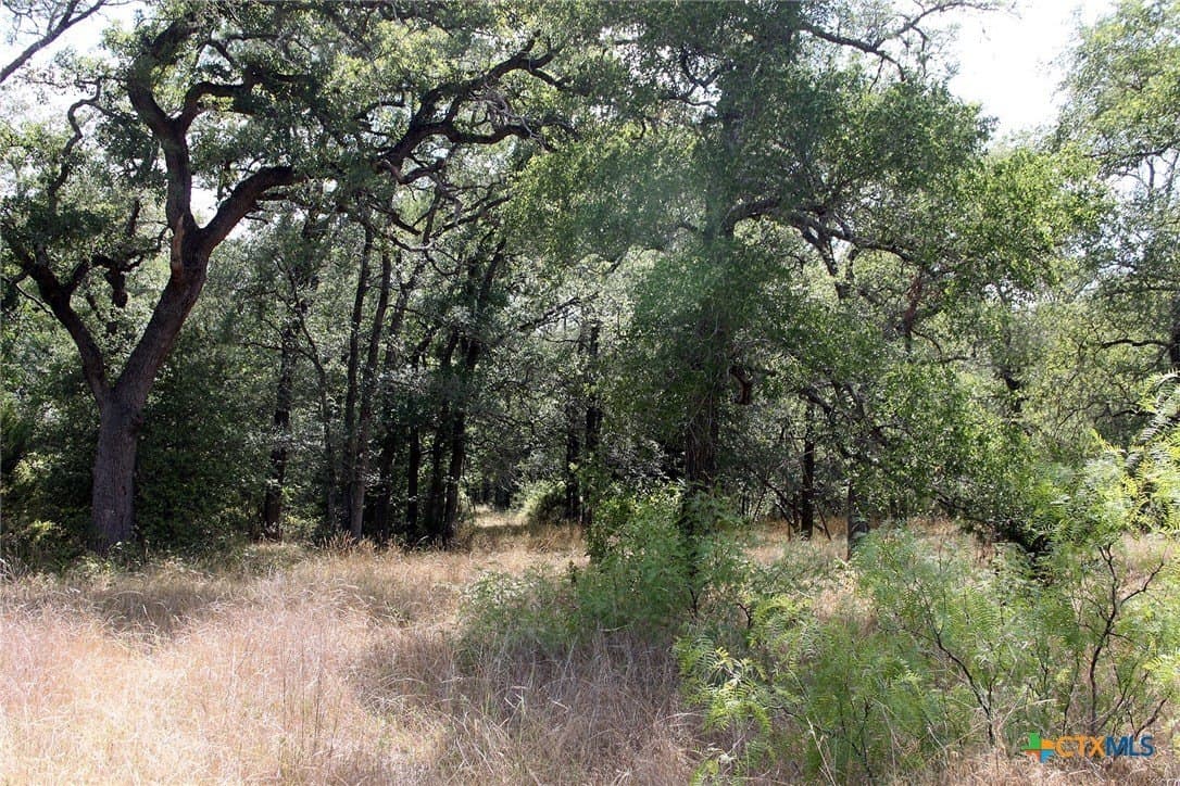 32.71 acres in Caldwell County - photo 17
