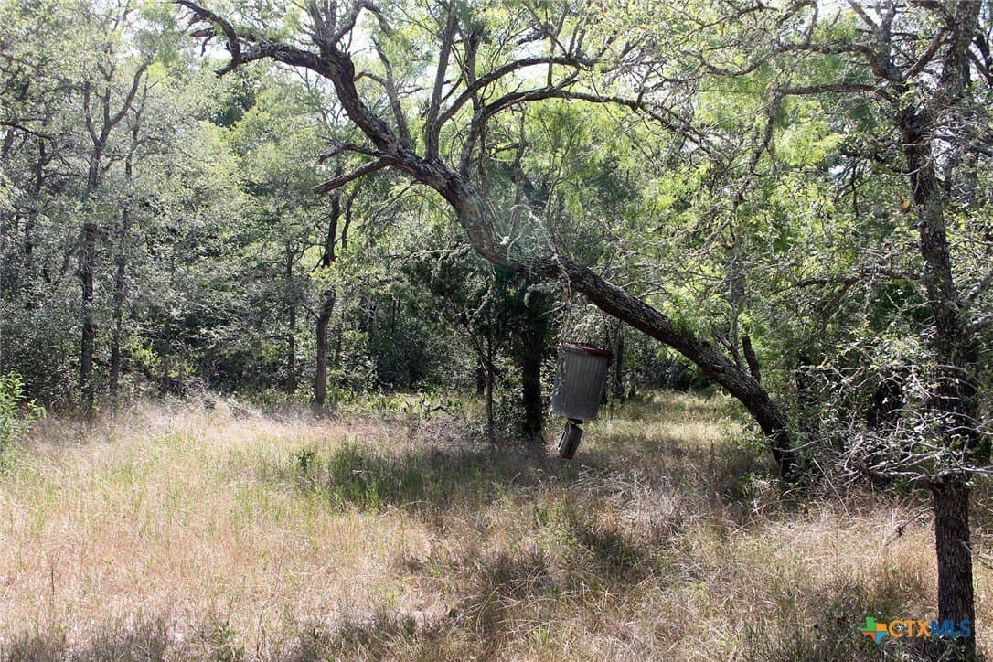 32.71 acres in Caldwell County - photo 29
