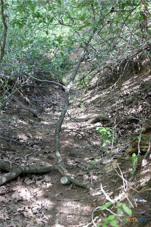 32.71 acres in Caldwell County - photo 21
