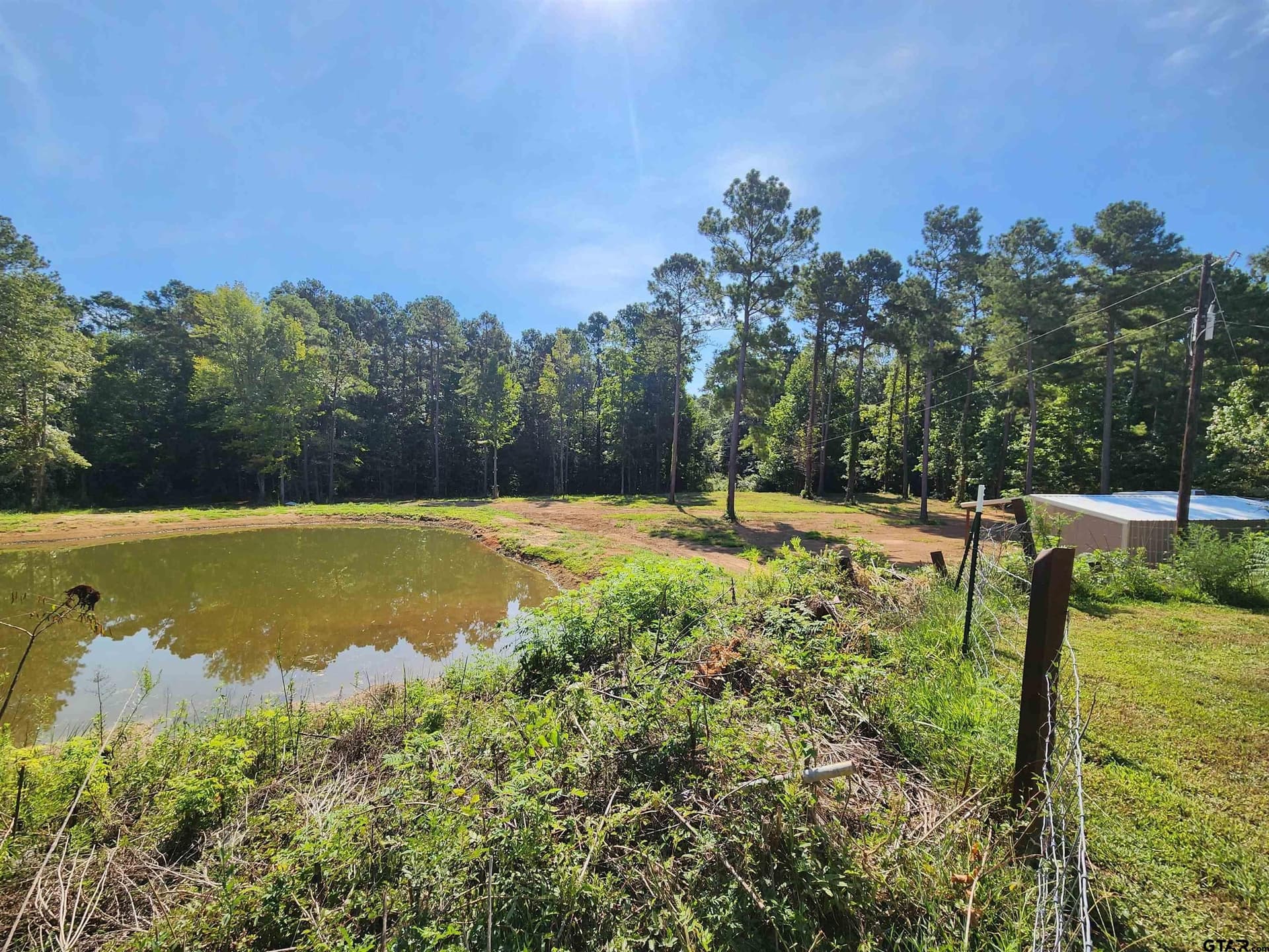 12 acres in Panola County gallery image 4