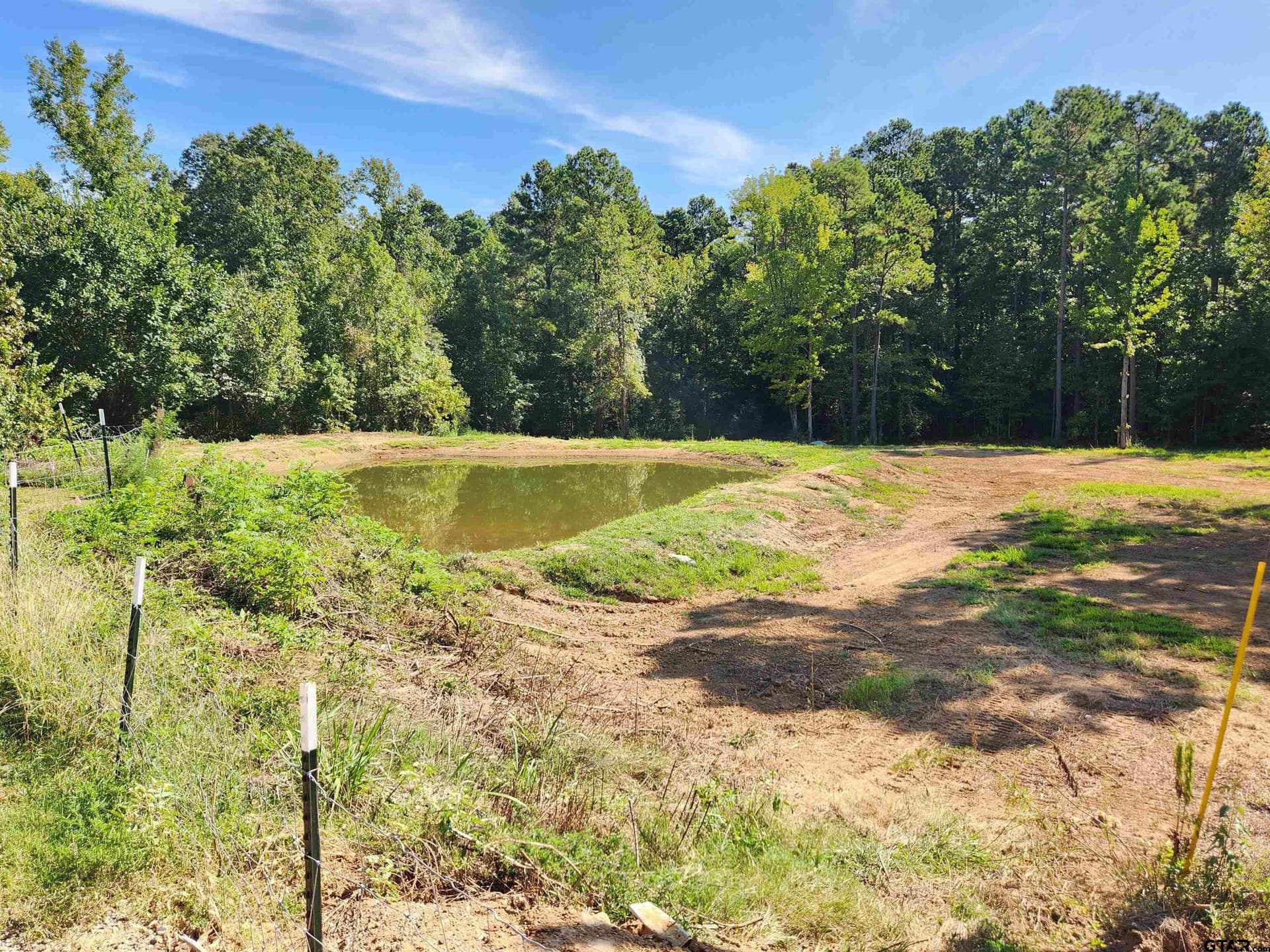 12 acres in Panola County gallery image 3