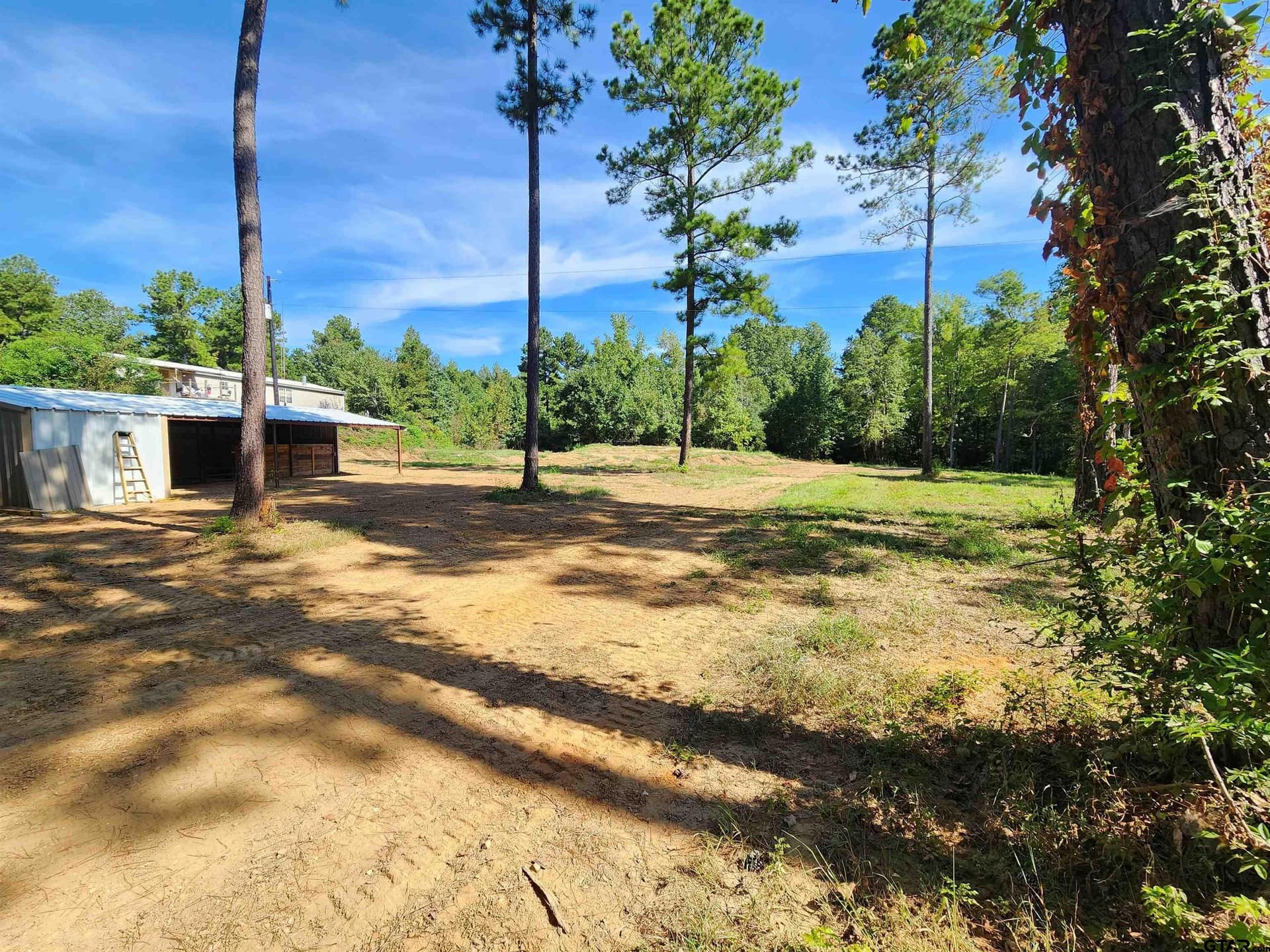 12 acres in Panola County featured view