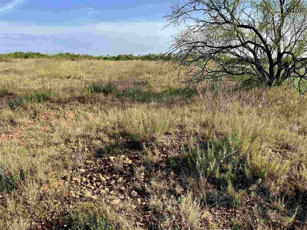 49.23 acres in Wichita County gallery image 4