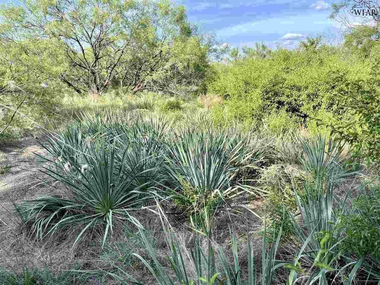 49.23 acres in Wichita County featured view