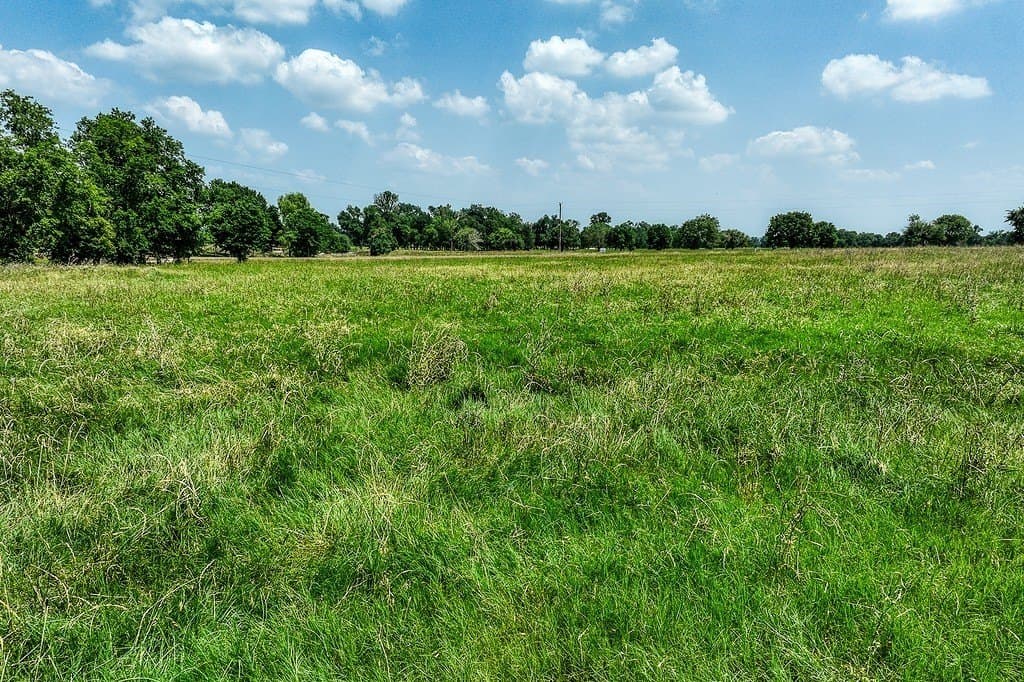 20.04 acres in Washington County gallery image 2