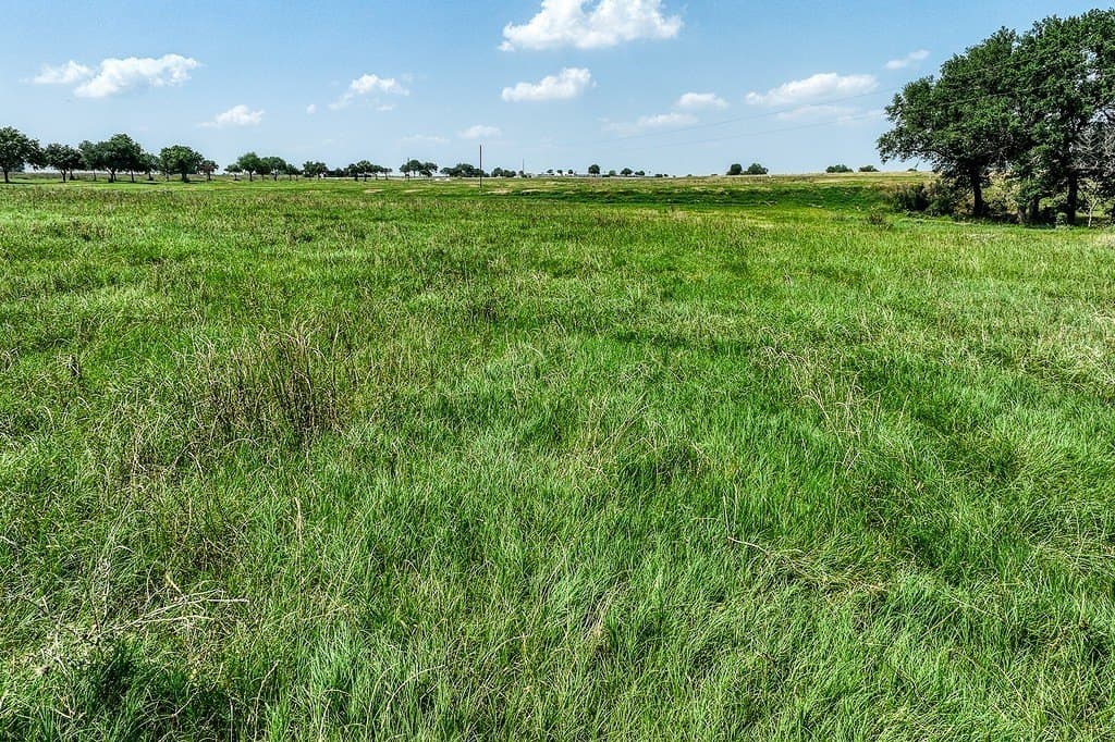 20.04 acres in Washington County gallery image 3
