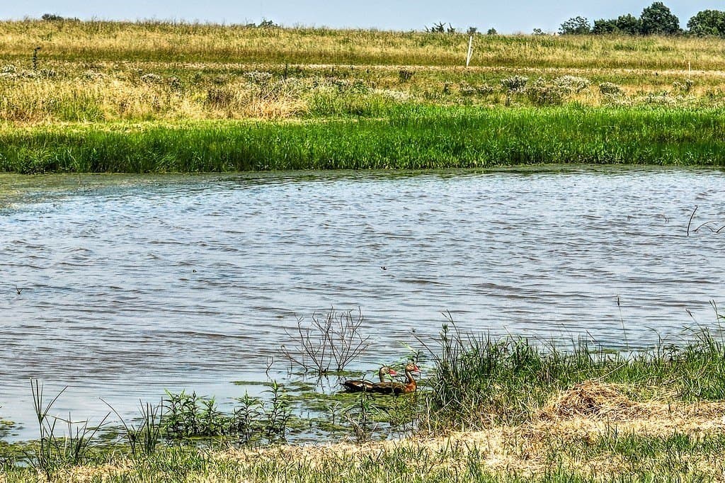20.04 acres in Washington County - photo 9