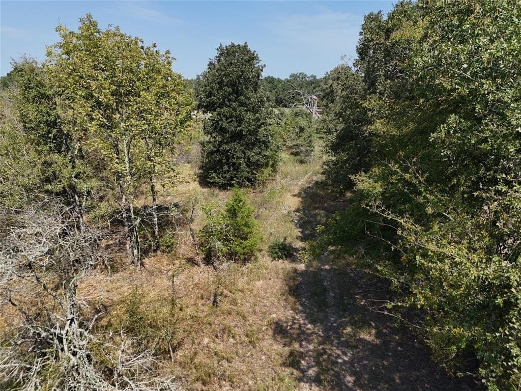 14 acres in Franklin (TX) County featured view