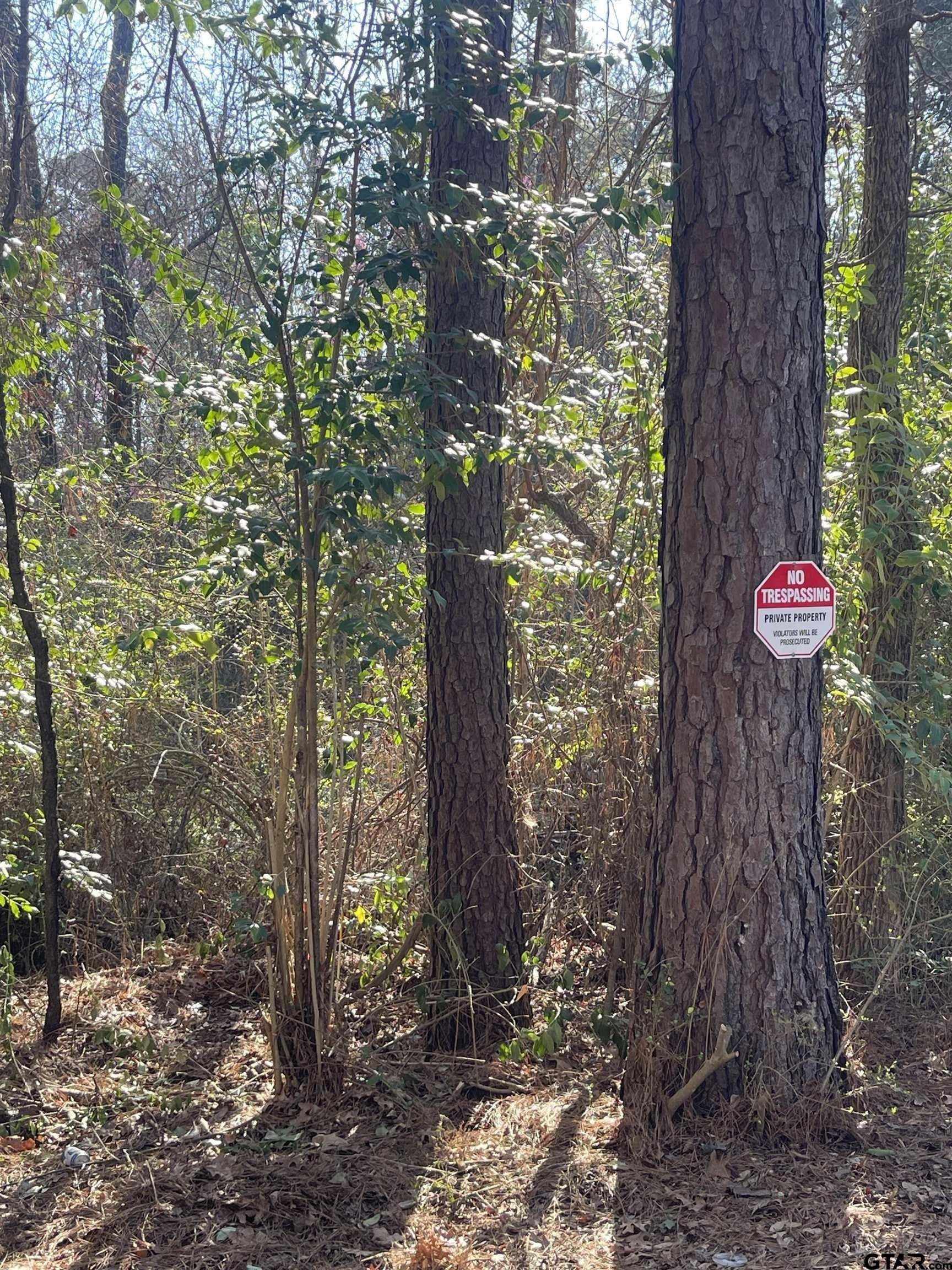 1.08 acres in Smith County gallery image 2