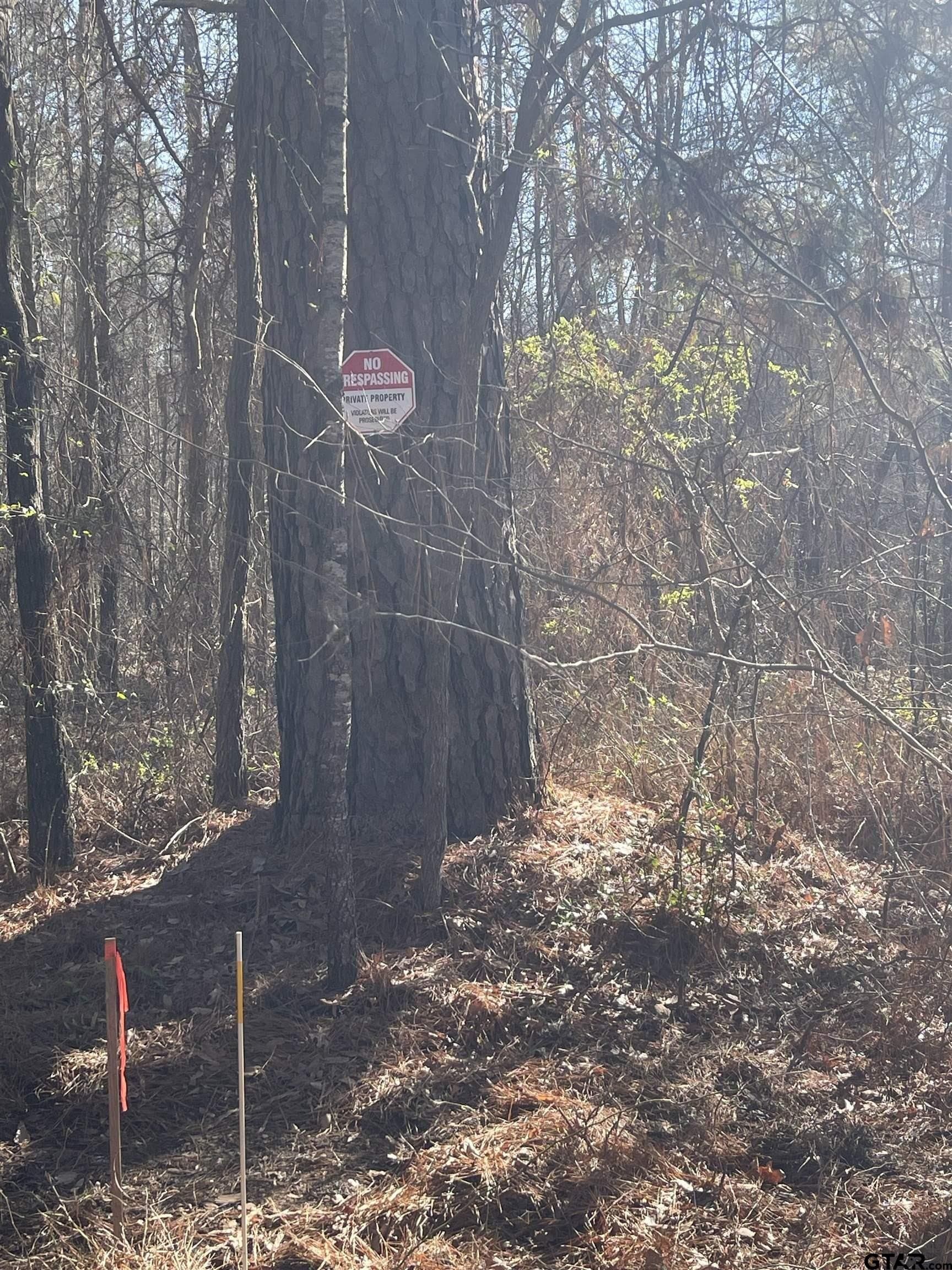 1.08 acres in Smith County featured view