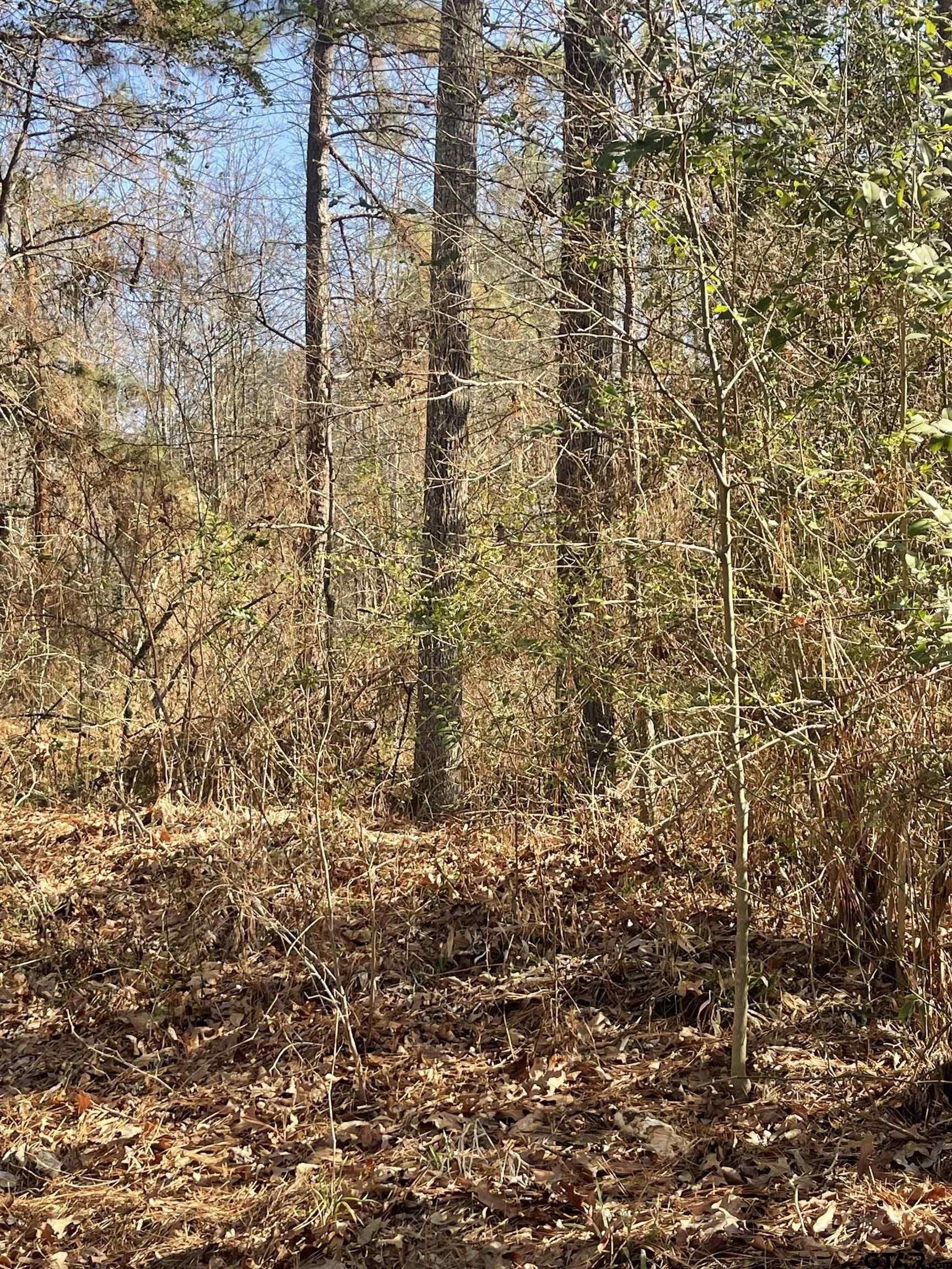 1.08 acres in Smith County - photo 6