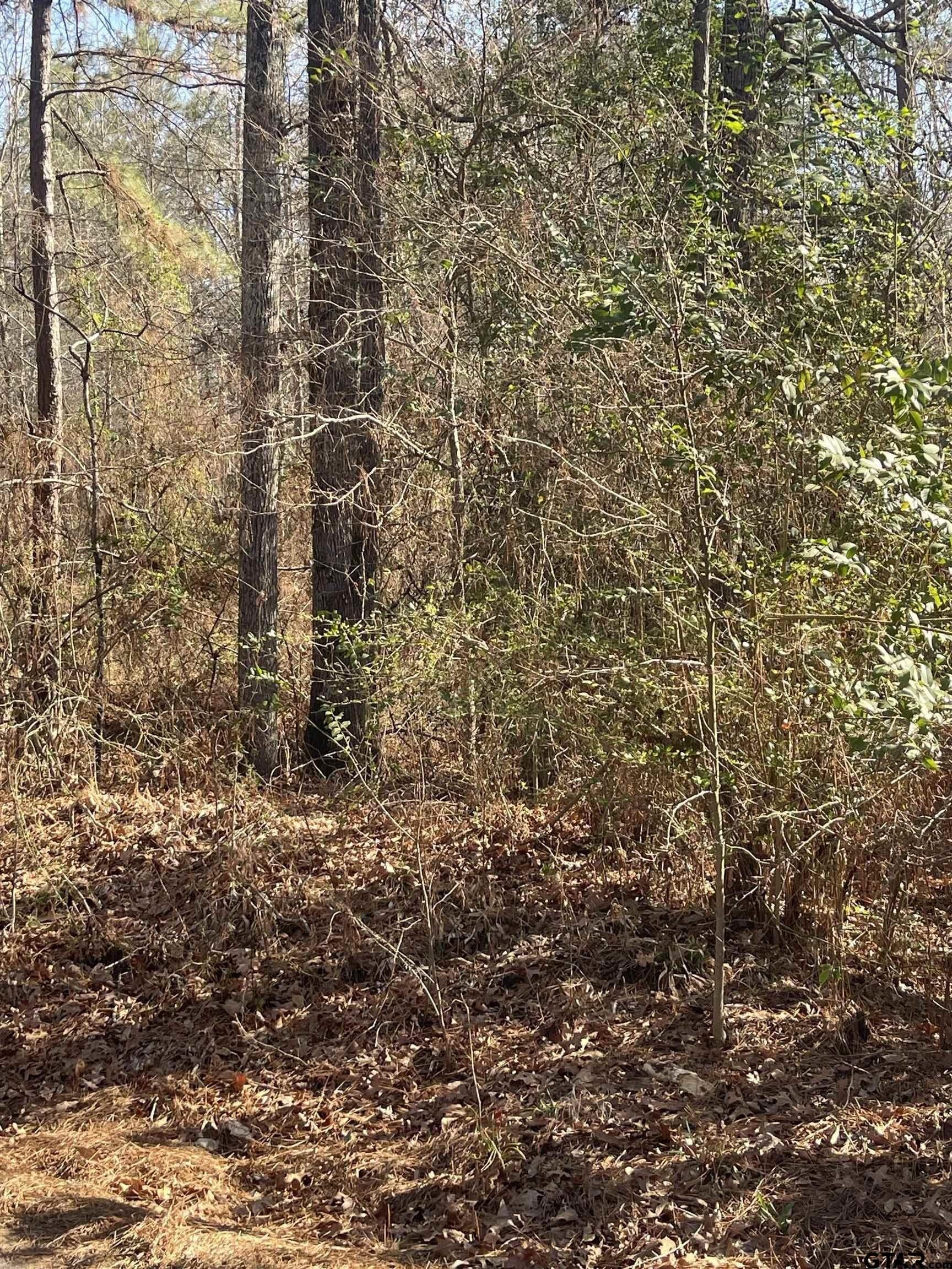 1.08 acres in Smith County gallery image 4