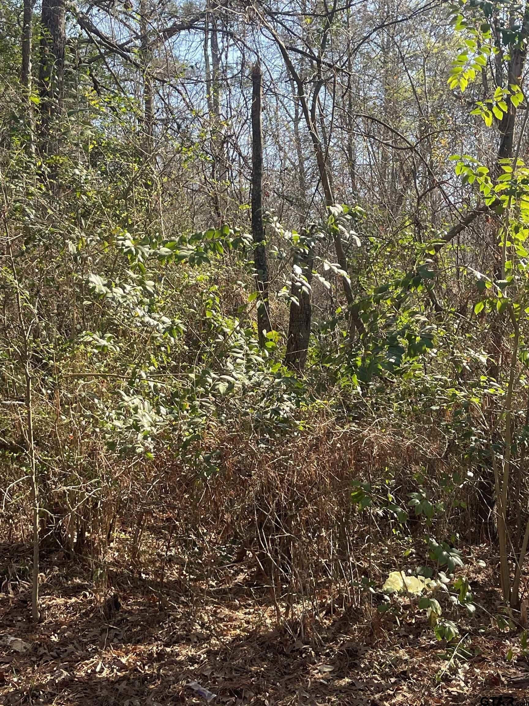 1.08 acres in Smith County gallery image 3