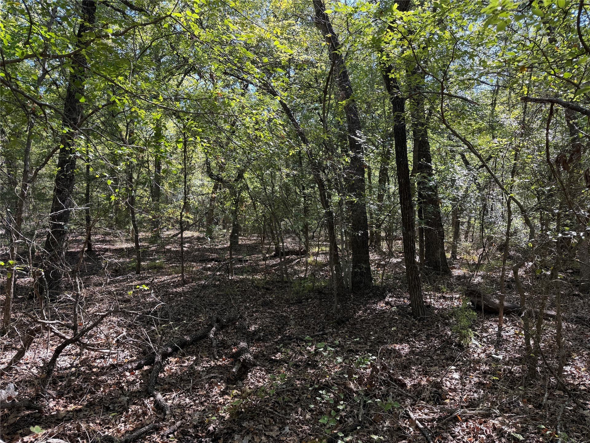 5 acres in Kaufman County - photo 2