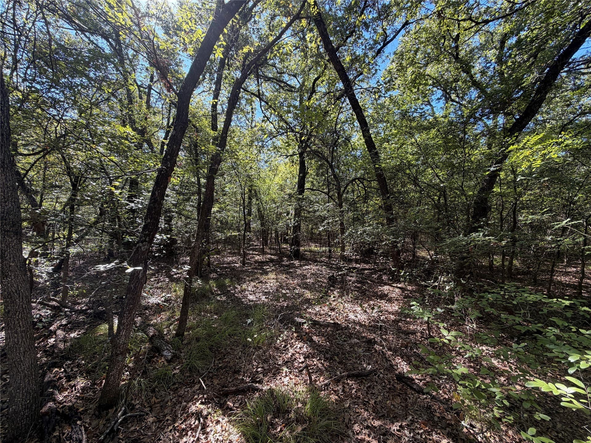 5 acres in Kaufman County - photo 7